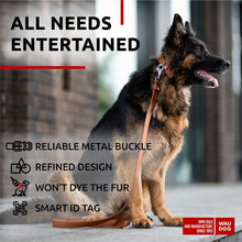 Load image into Gallery viewer, WAUDOG Long Lasting Leather Dog Collar for Large Dogs Medium & Small Dogs For Pet With Love