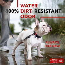 Load image into Gallery viewer, WAUDOG Waterproof Dog Leash 4 Ft 6 Ft Anti Slip Dog Leash for Large Dogs For Pet With Love