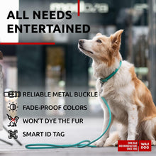 Load image into Gallery viewer, WAUDOG Ultra Soft Rolled Leather Dog Collar MINT MEDIUM For Pet With Love