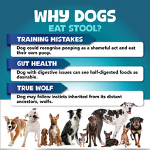 Load image into Gallery viewer, Kinpur Pet Care NO POO Chews for Dogs Probiotics and Digestive Enzymes, Bad Breath Support 180 Soft Chews For Pet With Love