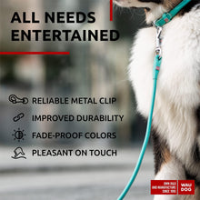 Load image into Gallery viewer, WAUDOG Rolled Leather GLAMOUR Dog Leash 4Ft X 0.5in (Mint) For Pet With Love