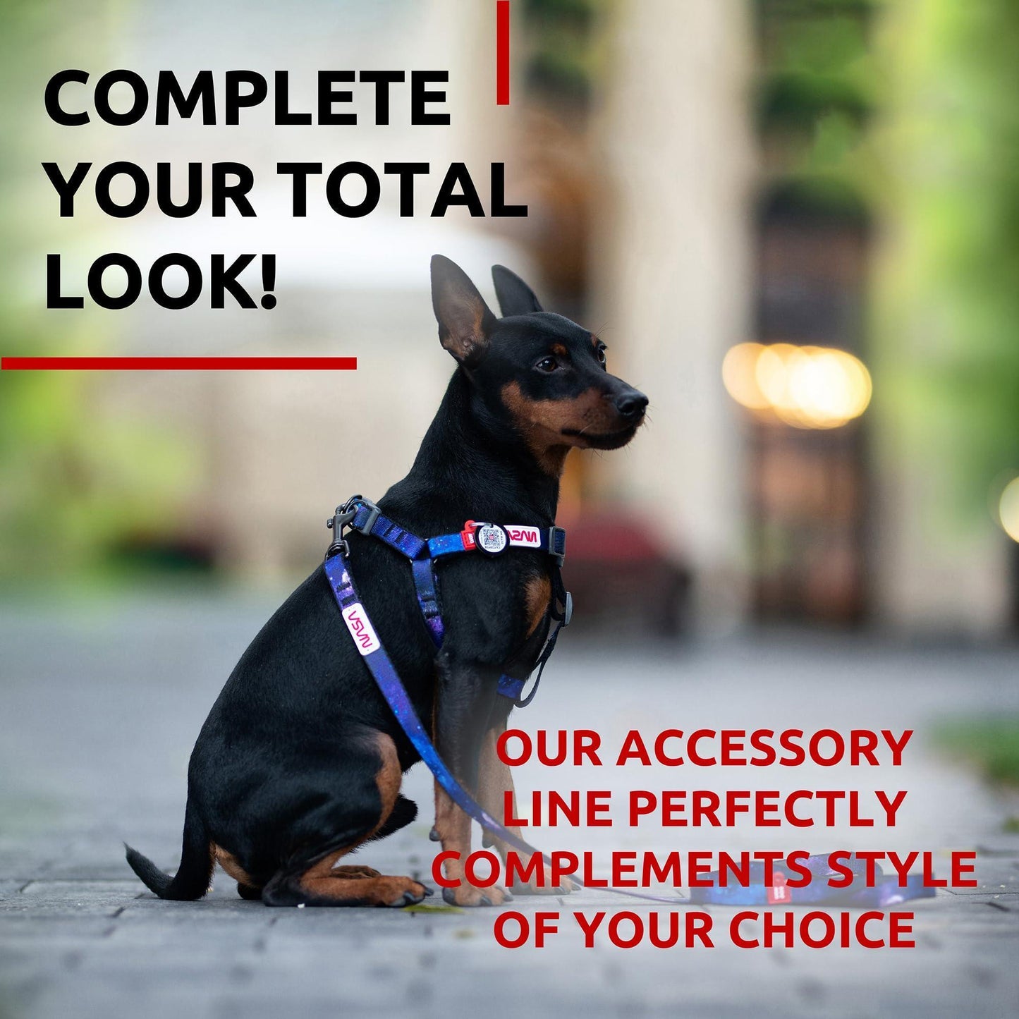 WAUDOG Nylon Dog Leash for Small Dogs and Medium Dogs 4 Ft Strong Dog Leash For Pet With Love