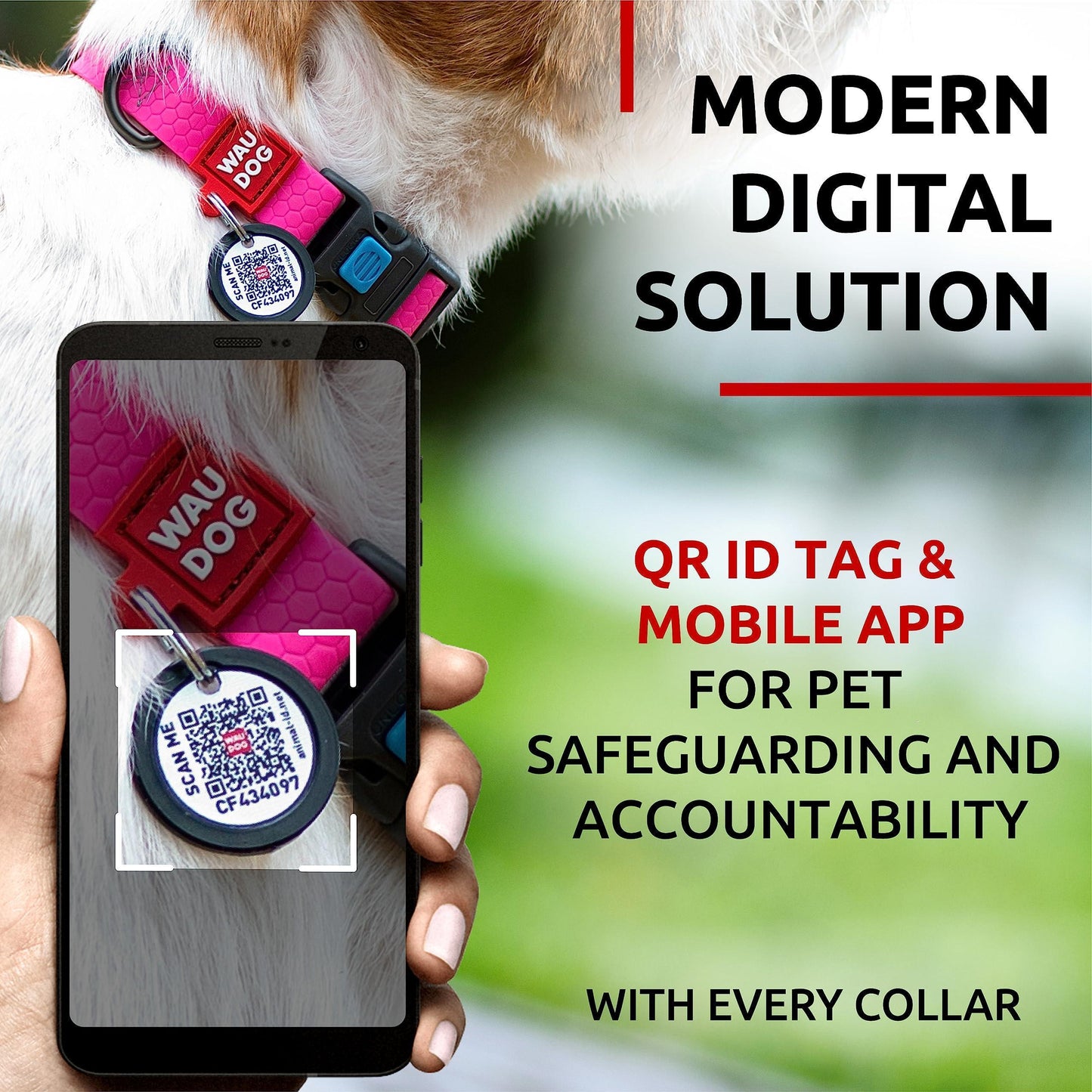 WAUDOG Adjustable Waterproof Dog Collar with Plastic Buckle and QR Dog Tag. PINK. SMALL For Pet With Love