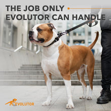 Load image into Gallery viewer, COLLAR Extra Heavy Duty Durable EVOLUTOR Dog Leash 10 Ft (Black) For Pet With Love