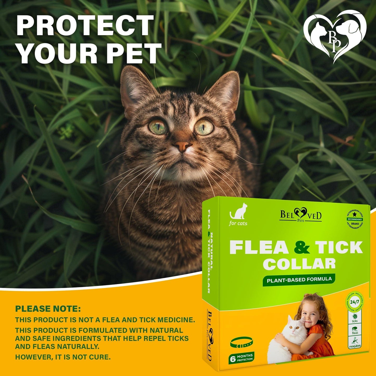 Beloved Pets Natural Flea & Tick Collar for Cats. 6 Months Control of Best Prevention & Safe Treatment with Essential Oil Repellent (1 Count) For Pet With Love