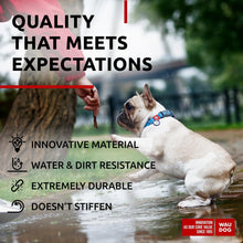 Load image into Gallery viewer, WAUDOG Adjustable Waterproof Dog Collar with Plastic Buckle and QR Dog Tag BLUE MEDIUM