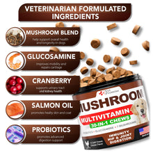 Load image into Gallery viewer, Vet Promise Mushroom Multivitamin Supplement for Dogs for Dogs. Turkey Tail Mushroom, Lions Mane, Reishi Immunity Support, Joint Health, Energy, Gut, Skin Health Support. (2 Pack. 340 Chews) For Pet With Love