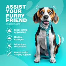 Load image into Gallery viewer, CHEWIA No Poo Probiotics for Digestive Health Supplement and Coprophagia Deterrent Chews for Dogs. Digestive Gut & Immune Health Treats. 180 Chews. Duck Flavor