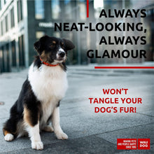 Load image into Gallery viewer, WAUDOG Ultra Soft Rolled Leather Dog Collar for Small Dogs Soft Padded Dog