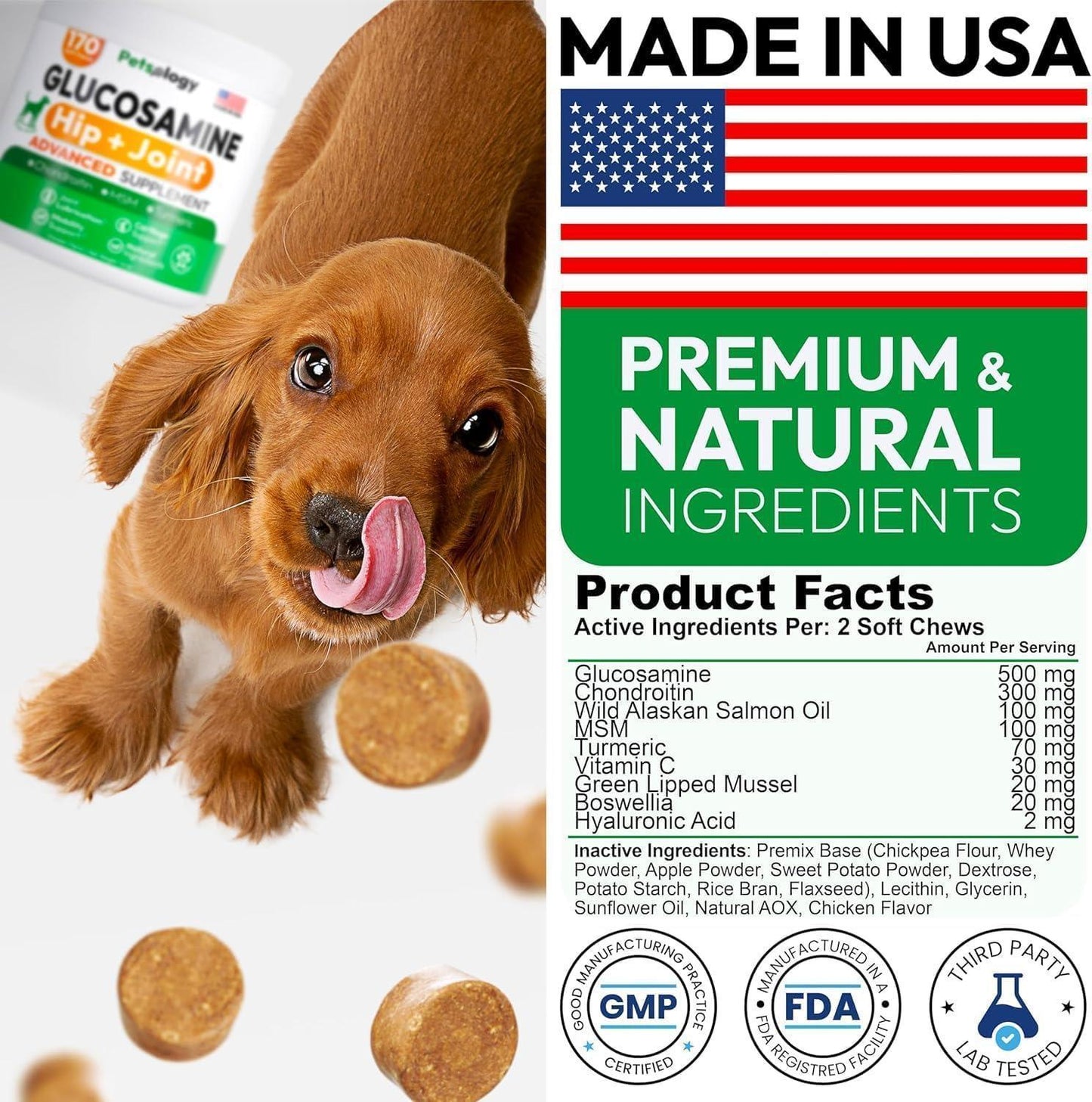 Petsology Mobility Advanced Hip and Joint Supplement for Dogs with Glucosamine Chondroitin. Made in USA. (2-pack) 340 Chews.