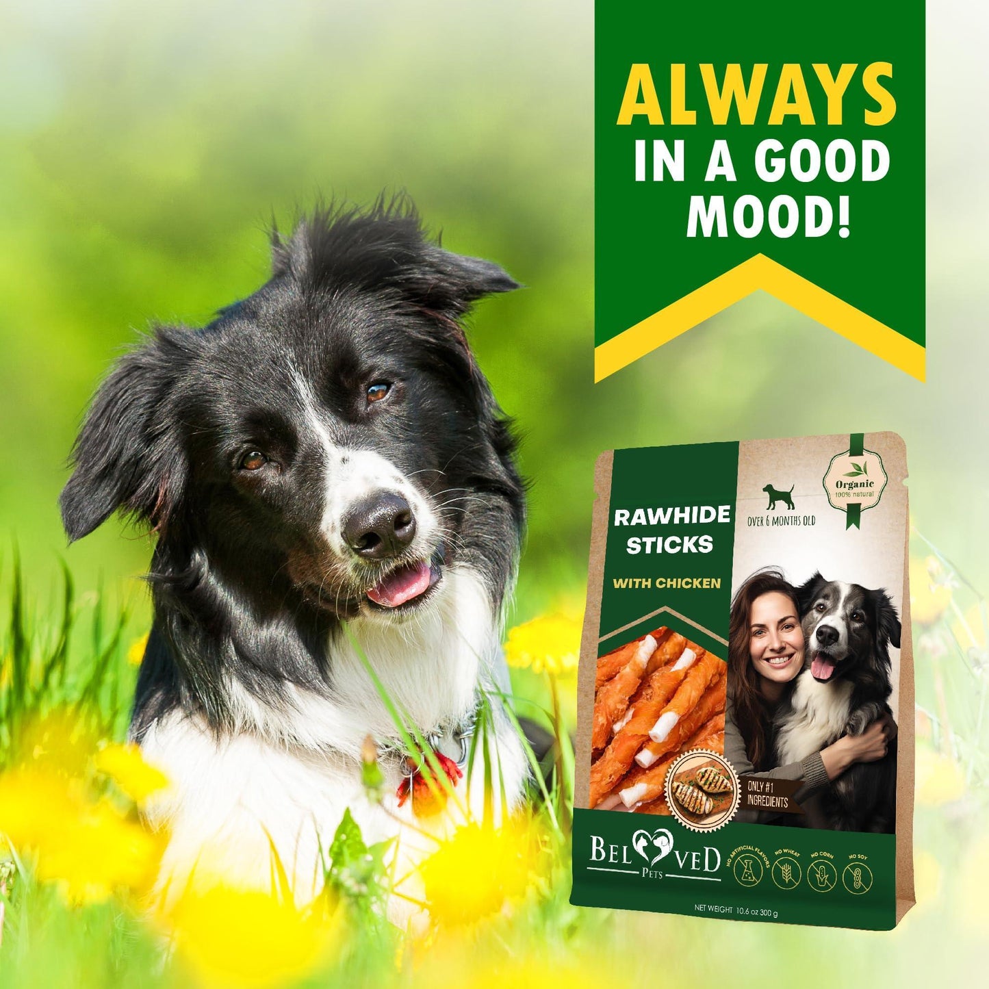 Beloved Pets Rawhide Sticks Wrapped with Chicken Natural Dog Treats 10.6 Oz For Pet With Love