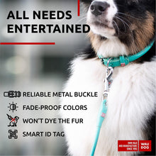 Load image into Gallery viewer, WAUDOG Ultra Soft Rolled Leather Dog Collar for Small Dogs. Soft Padded Dog Collar