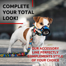 Load image into Gallery viewer, Nylon Dog Leash for Small Dogs and Medium Dogs 4 Ft Strong Dog Leash for For Pet With Love