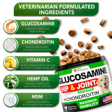 Load image into Gallery viewer, Vet Promise Glucosamine Chondroitin Hip and Joint Supplement for Dogs 120 Chews For Pet With Love