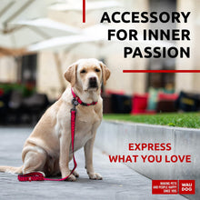 Load image into Gallery viewer, Nylon Dog Leash for Small Dogs and Medium Dogs 4 Ft Strong Dog Leash for For Pet With Love