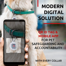 Load image into Gallery viewer, WAUDOG Ultra Soft Rolled Leather Dog Collar MINT MEDIUM For Pet With Love