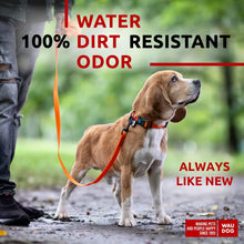 Load image into Gallery viewer, WAUDOG Waterproof Dog Leash 4 Ft 6 Ft Anti Slip Dog Leash for Large Dogs For Pet With Love