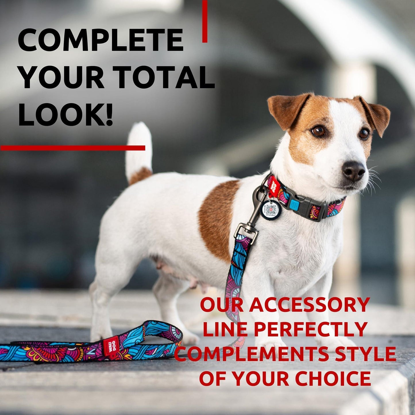 WAUDOG Nylon Dog Leash for Small Dogs and Medium Dogs 4 Ft Strong Dog Leash For Pet With Love