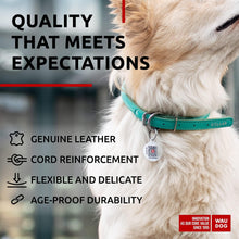 Load image into Gallery viewer, WAUDOG Ultra Soft Rolled Leather Dog Collar MINT MEDIUM For Pet With Love