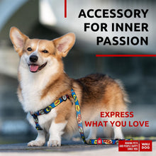 Load image into Gallery viewer, Nylon Dog Leash for Small Dogs and Medium Dogs 4 Ft Strong Dog Leash for For Pet With Love