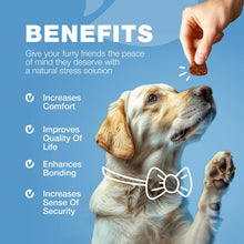 Load image into Gallery viewer, CHEWIA Hemp Calming Anxiety Relief Chews for Dogs 180 Chews For Pet With Love