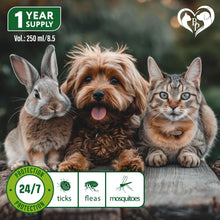 Load image into Gallery viewer, Beloved Pets Natural Flea and Tick Home Spray for Dogs, Cats & Ferrets. Pest Control & House Flea Treatment. Organic Mosquito Bug Repellent & Carpet Flea Killer. 8.5 Oz.