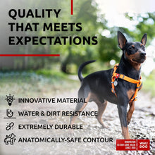 Load image into Gallery viewer, WAUDOG Waterproof Dog Harness Adjustable Dog Harness for Large Dogs Small and For Pet With Love