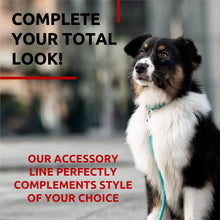 Load image into Gallery viewer, WAUDOG Rolled Leather GLAMOUR Dog Leash 4Ft X 0.5in (Mint) For Pet With Love