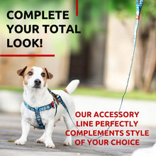 Load image into Gallery viewer, WAUDOG Nylon Dog Leash for Small Dogs and Medium Dogs 4 Ft Strong Dog Leash For Pet With Love