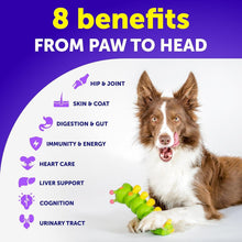 Load image into Gallery viewer, Artullano Dog Chewable 20in1 Multivitamin Supplement with Glucosamine 120 Chews