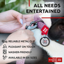 Load image into Gallery viewer, Recycled Cotton Dog Leash 6 Ft 10 Ft Eco Friendly Collar for Small Medium & For Pet With Love