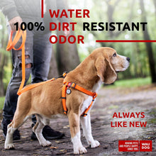 Load image into Gallery viewer, Waterproof Dog Harness Adjustable Dog Harness for Large Dogs Small and Medium For Pet With Love