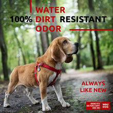 Load image into Gallery viewer, Waterproof Dog Harness Adjustable Dog Harness for Large Dogs Small and Medium For Pet With Love