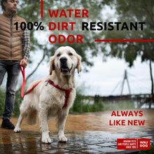 Load image into Gallery viewer, Waterproof Dog Harness Adjustable Dog Harness for Large Dogs Small and Medium For Pet With Love