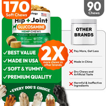 Load image into Gallery viewer, PETSOLOGY Hemp Hip and Joint Mobility Support Supplement for Dogs 170 Chews For Pet With Love