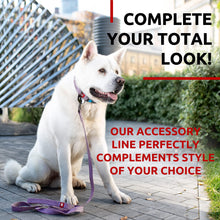 Load image into Gallery viewer, Recycled Cotton Dog Leash 6 Ft 10 Ft Eco Friendly Collar for Small Medium & For Pet With Love