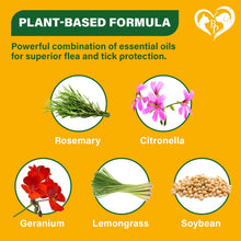 Load image into Gallery viewer, Beloved Pets Natural Flea and Tick Home Spray for Dogs, Cats & Ferrets. Pest Control & House Flea Treatment. Organic Mosquito Bug Repellent & Carpet Flea Killer. 8.5 Oz. For Pet With Love