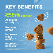 Load image into Gallery viewer, CHEWIA Hemp Calming Anxiety Support Chews for Dogs with Melatonin, Chamomile Extract, and Valerian Root. 70 Chews