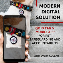 Load image into Gallery viewer, WAUDOG Adjustable Nylon Dog Collar with Durable Plastic Buckle and QR Dog Tag. SMALL (NASA-1 Print) For Pet With Love