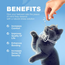 Load image into Gallery viewer, CHEWIA Hemp Calming Care Treats for Cats. Anxiety Relief Melatonin Soft Chews with Hemp Seed Oil and Probiotics (140 Chews) For Pet With Love