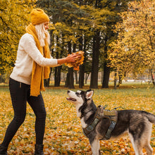 Load image into Gallery viewer, Tactical Dog Desert Camouflage Breathable Harness with Handle XLarge For Pet With Love