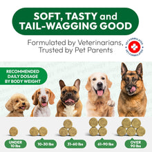 Load image into Gallery viewer, PETSOLOGY Dog Allergy Itching Relief Chews with Omega 3 Fish Oil Probiotics 170 Chews For Pet With Love