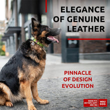 Load image into Gallery viewer, WAUDOG Long Lasting Leather Dog Collar with Durable Buckle D Ring & QR Dog Tag GREEN LARGE