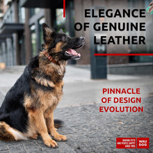 Load image into Gallery viewer, WAUDOG Long Lasting Leather Dog Collar for Large Dogs Medium & Small Dogs For Pet With Love