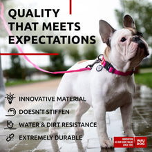 Load image into Gallery viewer, Waterproof Dog Leash 4 Ft 6 Ft Anti Slip Dog Leash for Large Dogs Small and For Pet With Love
