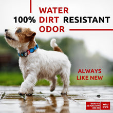 Load image into Gallery viewer, WAUDOG Adjustable Waterproof Heavy Duty Dog Collar with Durable Plastic Buckle and QR Dog Tag. SMALL (Blue) For Pet With Love