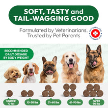 Load image into Gallery viewer, PETSOLOGY Hemp Calming Chews for Dogs. Anxiety Relief, Stress Relief, Separation Aid 170 Chews For Pet With Love