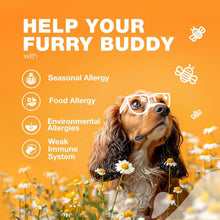 Load image into Gallery viewer, CHEWIA Dog Allergy Itch Relief Chews for Dogs. US Formulated Immune Health Seasonal Allergies & Hot Spots Support Treats with Salmon Oil (70 Chews. Duck Flavor) For Pet With Love