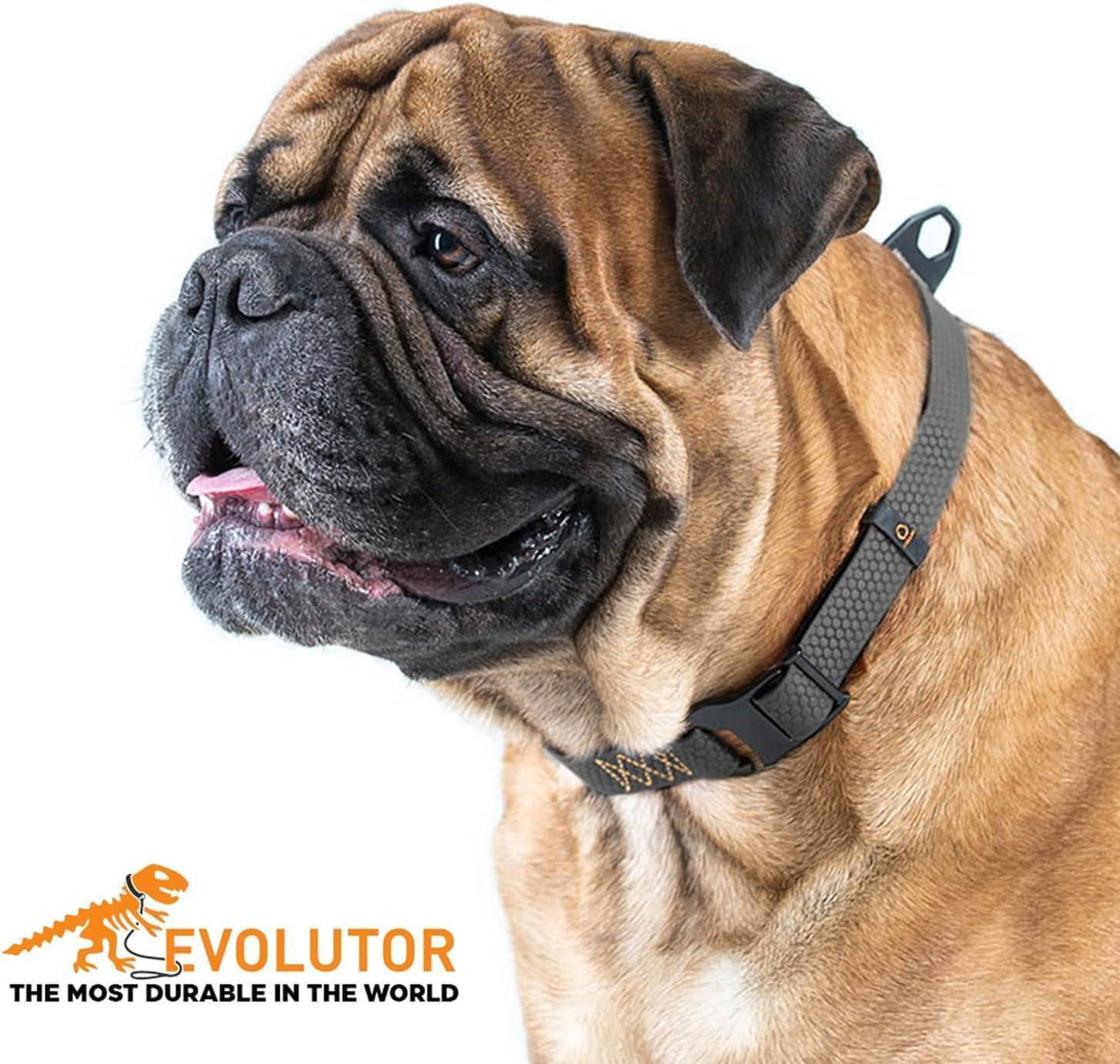 COLLAR Heavy Duty Adjustable Waterproof EVOLUTOR Dog Collar with QR Dog Tag. BLACK. One Size Fits Many For Pet With Love