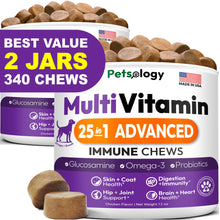 Load image into Gallery viewer, PETSOLOGY Multivitamin Chews for Dogs with Glucosamine, Omega 3 & Probiotics.  (2 Pack) 340 Chews